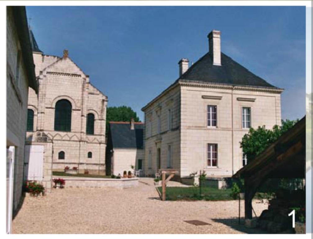 Domaine Du Heron Шинон Екстериор снимка